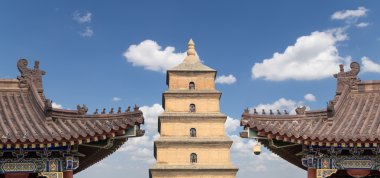 Dev Vahşi kaz Pagodası veya büyük vahşi kaz Pagodası olduğu bir Budist pagoda Güney xian (sian, xi'an), shaanxi Eyaleti, Çin bulunmaktadır.