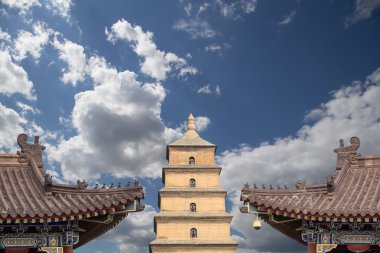 Dev Vahşi kaz Pagodası veya büyük vahşi kaz Pagodası olduğu bir Budist pagoda Güney xian (sian, xi'an), shaanxi Eyaleti, Çin bulunmaktadır.