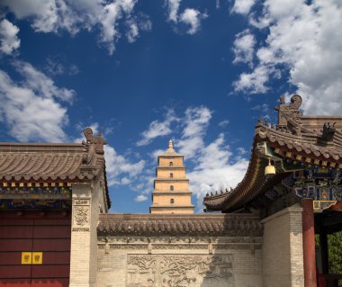 Dev Vahşi kaz Pagodası veya büyük vahşi kaz Pagodası olduğu bir Budist pagoda Güney xian (sian, xi'an), shaanxi Eyaleti, Çin bulunmaktadır.