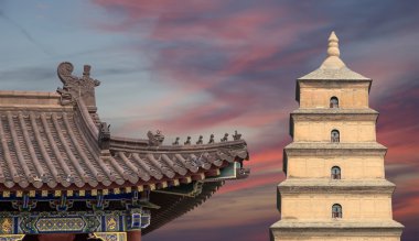 Dev Vahşi kaz Pagodası veya büyük vahşi kaz Pagodası olduğu bir Budist pagoda Güney xian (sian, xi'an), shaanxi Eyaleti, Çin bulunmaktadır.
