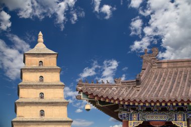 Dev Vahşi kaz Pagodası veya büyük vahşi kaz Pagodası olduğu bir Budist pagoda Güney xian (sian, xi'an), shaanxi Eyaleti, Çin bulunmaktadır.
