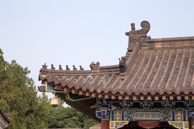 Dev Vahşi kaz Pagodası veya büyük vahşi kaz Pagodası olduğu bir Budist pagoda Güney xian (sian, xi'an), shaanxi Eyaleti, Çin bulunmaktadır.