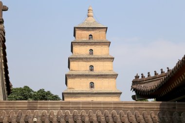 Dev Vahşi kaz Pagodası veya büyük vahşi kaz Pagodası olduğu bir Budist pagoda Güney xian (sian, xi'an), shaanxi Eyaleti, Çin bulunmaktadır.