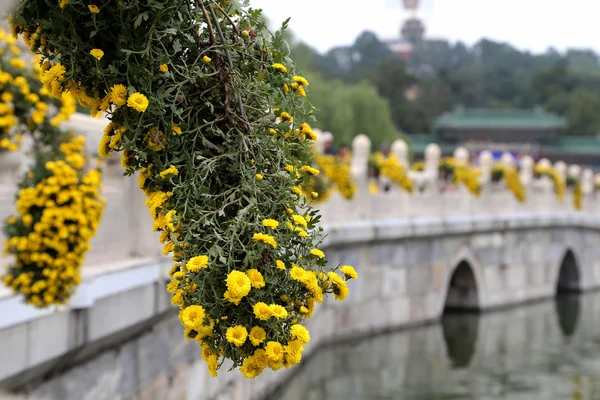 ベイハイ パーク - は北京の禁止された都市の北西に皇室の庭園 — ストック写真
