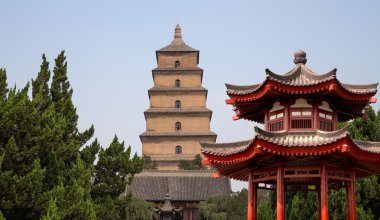 Dev Vahşi kaz Pagodası veya büyük vahşi kaz Pagodası olduğu bir Budist pagoda Güney xian (sian, xi'an), shaanxi Eyaleti, Çin bulunmaktadır.