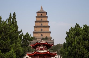 Dev Vahşi kaz Pagodası veya büyük vahşi kaz Pagodası olduğu bir Budist pagoda Güney xian (sian, xi'an), shaanxi Eyaleti, Çin bulunmaktadır.