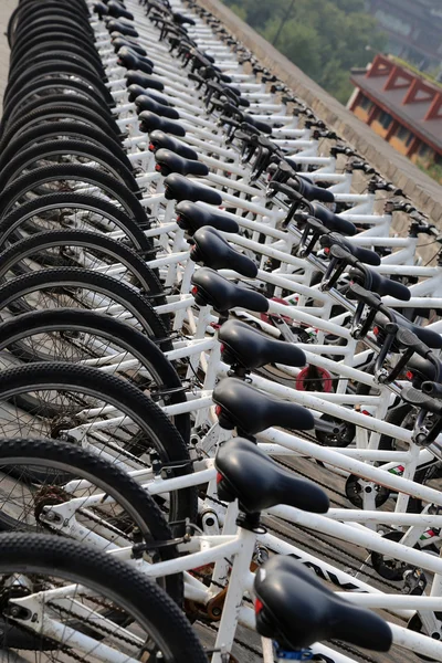 Een rij van fietsen — Stockfoto