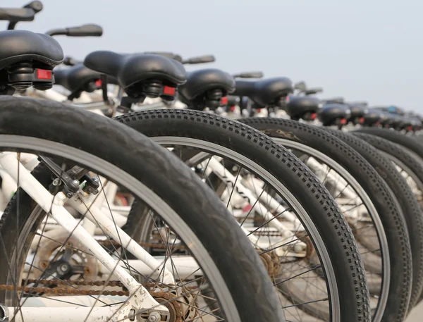 Ряд велосипедів — стокове фото
