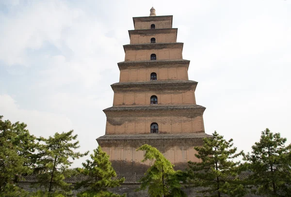 Pagode de Ganso Selvagem Gigante (Big Wild Goose Pagoda), é um pagode budista localizado no sul de Xian (Sian, Xi 'an ) — Fotografia de Stock