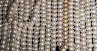 İnci (arka plan olarak kullanılabilir)