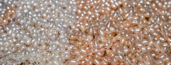 Perlen (können als Hintergrund verwendet werden) — Stockfoto