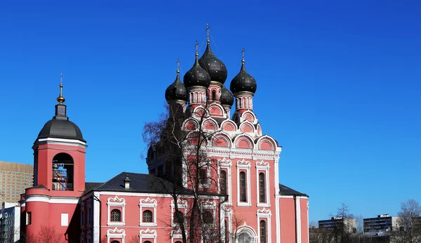 Kirche der Tikhwin-Ikone der Gottesmutter im ehemaligen Dorf Aleksejewskoje, Russland — Stockfoto