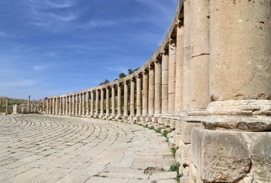 Forum (oval plaza): jerash, jordan. Asimetrik bir plaza birinci yüzyılda inşa edilen Sütunlu Cadde başında bir forumdur