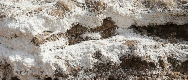 Döda havet salt på jordan — Stockfoto