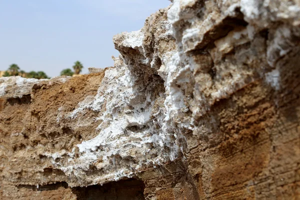 ヨルダン川で死海の塩 — ストック写真