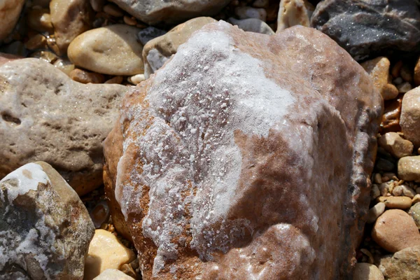 Jordan, ölü deniz tuzu — Stok fotoğraf