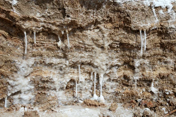 Jordan, ölü deniz tuzu — Stok fotoğraf