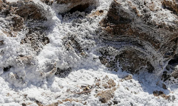 ヨルダン川で死海の塩 — ストック写真