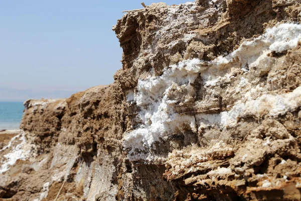 Totes Meersalz in Jordanien — Stockfoto