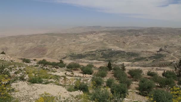 Desert berglandschap, Midden-Oosten, Jordanië — Stockvideo