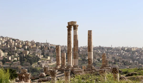 Templo de Hércules, Columnas corintias romanas en Citadel Hill, Ammán, Jordania — Foto de Stock