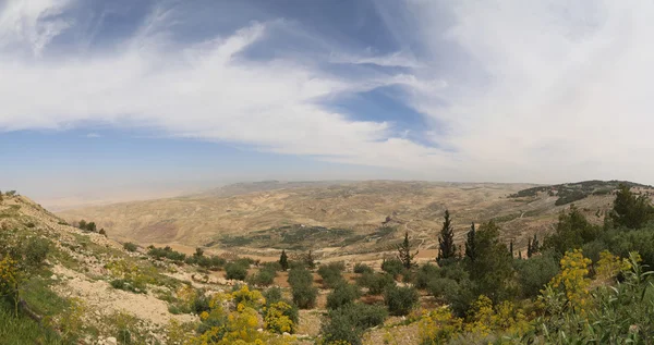 Panorama wüste gebirgslandschaft, jordan — Stockfoto