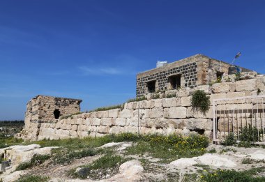 Roma kalıntıları um Birol (um qays)--gadara antik kent sitesi yakınındaki kuzey Ürdün'de bir şehir. Um qais jordan'ın en eşsiz Yunan Roma decapolis sitelerinden biridir