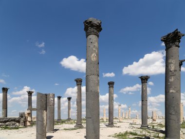 Roma kalıntıları um Birol (um qays)--gadara antik kent sitesi yakınındaki kuzey Ürdün'de bir şehir. Um qais jordan'ın en eşsiz Yunan Roma decapolis sitelerinden biridir