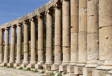 Forum (oval plaza) gerasa (jerash), jordan. Asimetrik bir plaza birinci yüzyılda inşa edilen Sütunlu Cadde başında bir forumdur