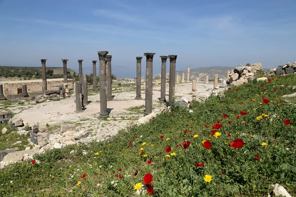 Roman ruins at Umm Qais (Umm Qays) --is a town in northern Jordan near the site of the ancient town of Gadara. Umm Qais is one of Jordan's most unique Greco Roman Decapolis sites — Stock Photo, Image