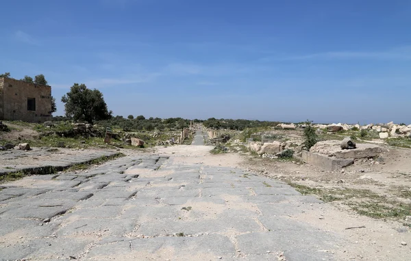Romeinse ruïnes op um qais (um Qhays)--is een stad in noordelijk Jordanië in de buurt van de site van de oude stad van gadara. um is qais een van jordan's meest unieke greco Romeinse decapolis sites — Stockfoto