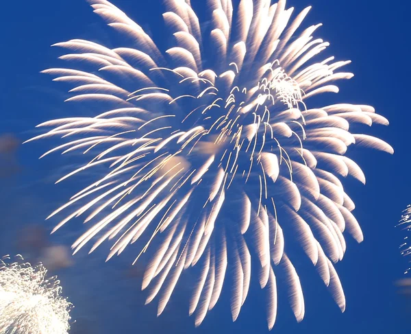 庆祝五彩缤纷的烟花在天空中爆炸. — 图库照片