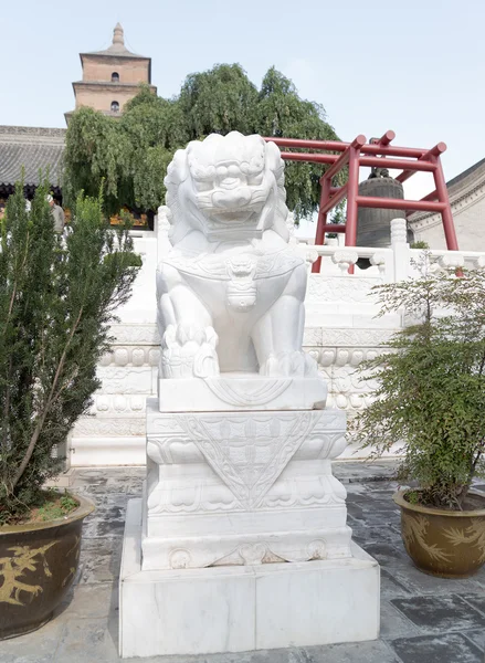 Op het grondgebied reus wilde gans pagode of big wild goose pagoda, is dat een boeddhistische Pagode gelegen in zuidelijk xian (sian, xi'an), provincie shaanxi, china — Stockfoto