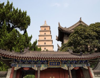 Dev Vahşi kaz Pagodası veya büyük vahşi kaz Pagodası olduğu bir Budist pagoda Güney xian (sian, xi'an), shaanxi Eyaleti, Çin bulunmaktadır.