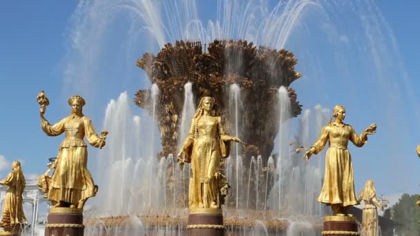 Fountain Friendship of Nations-VDNKH (Centro Espositivo di tutta la Russia), Mosca, Russia — Video Stock