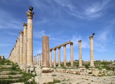 rzymskie kolumny w Jordanii miasta jerash (Gerazie starożytności), stolica i największe miasto guberni jerash, jordan