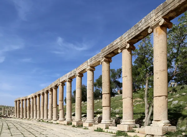 포럼 (타원형 광장) gerasa (jerash) 요르단에서. 포럼은 첫번째 세기 광고에 지어진 colonnaded 거리의 시작 부분에 비대칭 플라자 — 스톡 사진