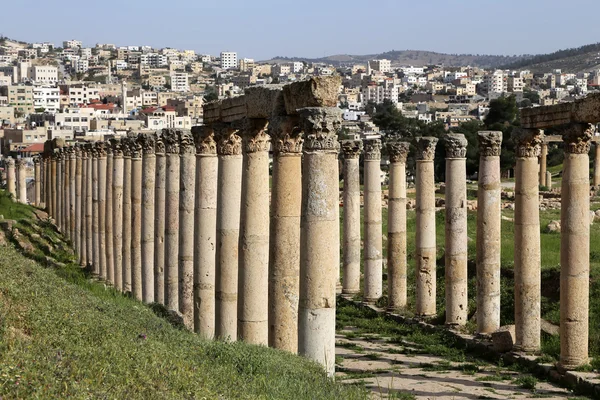 Colonnes romaines dans la ville jordanienne de Jerash (Gerasa de l'Antiquité), capitale et plus grande ville du gouvernorat de Jerash, Jordanie — Photo