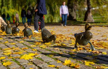 Parktaki yol ördekleri anıtı Novodevichy göletleri sonbaharda Novodevichy manastırında ördek yavruları ile bir ördek heykeli. Moskova, Rusya