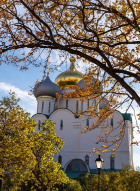 Novodevichy manastırı (Bogoroditse-Smolensky manastırı) güneşli bir sonbahar gününde. Smolensk Leydisi Katedrali (16. yüzyıl). Moskova, Rusya. UNESCO dünya mirası sahası    