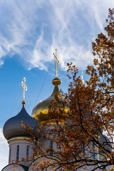 Convento Novodevichy Monastero Bogoroditse Smolensky Una Giornata Sole Cupole Della — Foto Stock