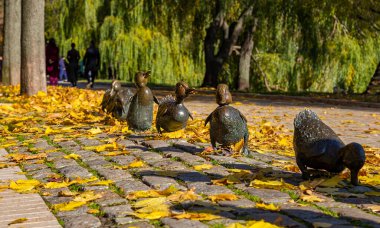 Parktaki yol ördekleri anıtı Novodevichy göletleri sonbaharda Novodevichy manastırında ördek yavruları ile bir ördek heykeli. Moskova, Rusya
