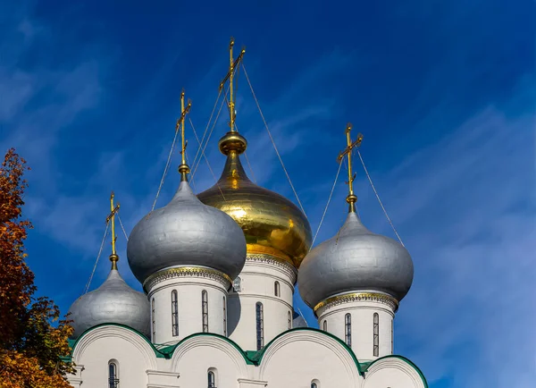 晴れた日にノヴォディシィ修道院 ボゴロディツェ スモレンスキー修道院 スモレンスクの聖母大聖堂のドーム 16世紀 モスクワ ロシア ユネスコ世界遺産 — ストック写真