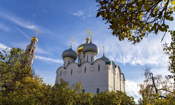 Novodevichy manastırı (Bogoroditse-Smolensky manastırı) güneşli bir sonbahar gününde. Smolensk Leydisi Katedrali (16. yüzyıl). Moskova, Rusya. UNESCO dünya mirası sahası    