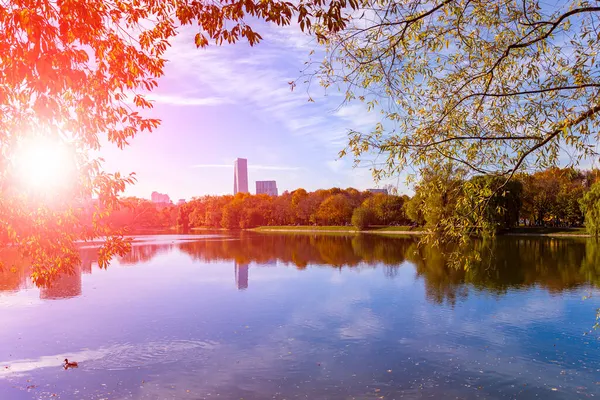 Novodevichy Manastırı (Bogoroditse-Smolensky Manastırı) yakınlarında güneşli bir sonbahar gününde Büyük Novodevichy göleti. Moskova, Rusya. UNESCO dünya mirası sahası