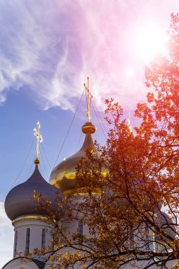 Novodevichy manastırı (Bogoroditse-Smolensky manastırı) güneşli bir günde. Smolensk Katedrali 'nin kubbeleri (16. yüzyıl). Moskova, Rusya. UNESCO dünya mirası sahası    