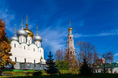 Novodevichy manastırı (Bogoroditse-Smolensky manastırı) güneşli bir sonbahar gününde. Moskova, Rusya. UNESCO dünya mirası sahası