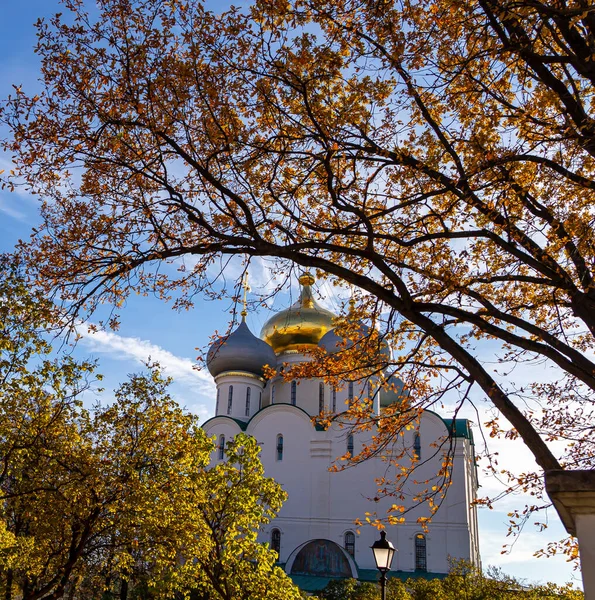 Новодевицький Монастир Bogoroditse Smolensky Сонячний Осінній День Собор Богоматері Смоленської — стокове фото