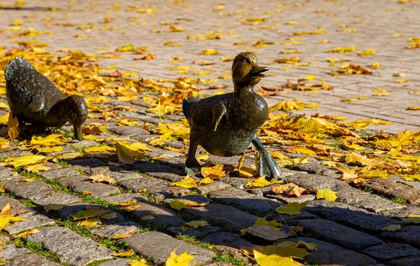 Parktaki yol ördekleri anıtı Novodevichy göletleri sonbaharda Novodevichy manastırında ördek yavruları ile bir ördek heykeli. Moskova, Rusya