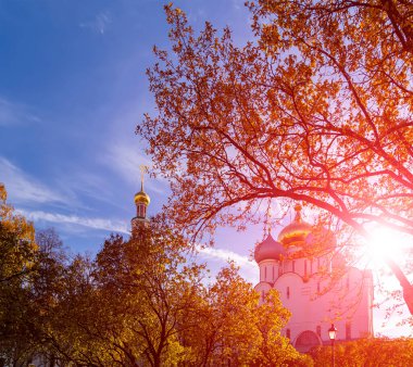 Novodevichy manastırı (Bogoroditse-Smolensky manastırı) güneşli bir sonbahar gününde. Moskova, Rusya. UNESCO dünya mirası sahası